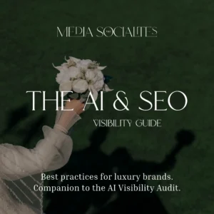 AI Visibility Guide  |  The Media Socialites